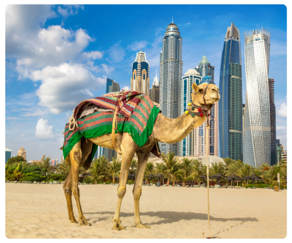Middle East